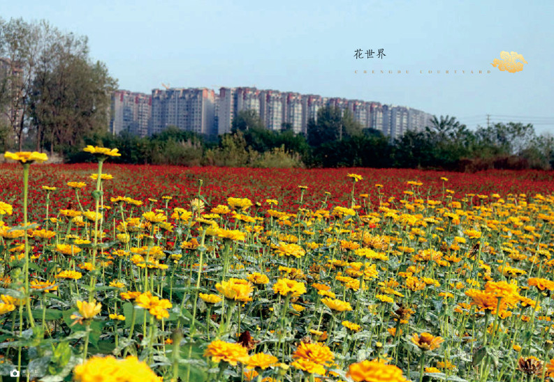 名著房地产